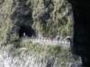 tarokonationalpark11012009180_small.jpg