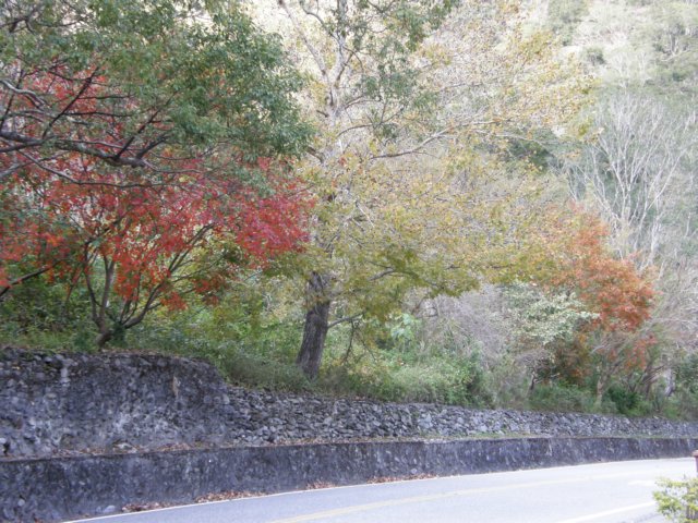 tarokonationalpark11012009181.jpg