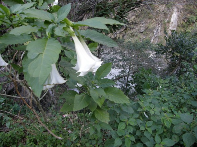 tarokonationalpark11012009186.jpg