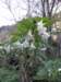 tarokonationalpark11012009187_small.jpg