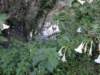 tarokonationalpark11012009188_small.jpg