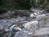 tarokonationalpark11012009191_small.jpg