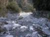 tarokonationalpark11012009192_small.jpg