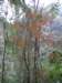 tarokonationalpark11012009197_small.jpg
