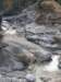 tarokonationalpark11012009199_small.jpg