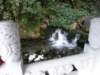 tarokonationalpark11012009230_small.jpg