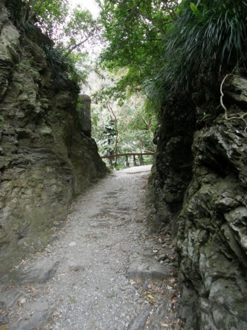 tarokonationalpark1101200926.jpg