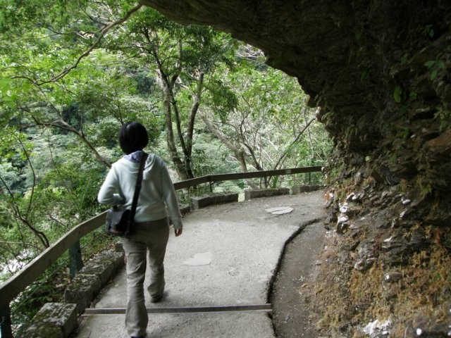 tarokonationalpark1101200931.jpg