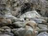 tarokonationalpark1101200961_small.jpg