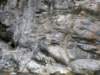 tarokonationalpark1101200973_small.jpg