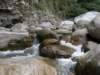 tarokonationalpark1101200974_small.jpg