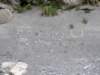 tarokonationalpark1101200986_small.jpg