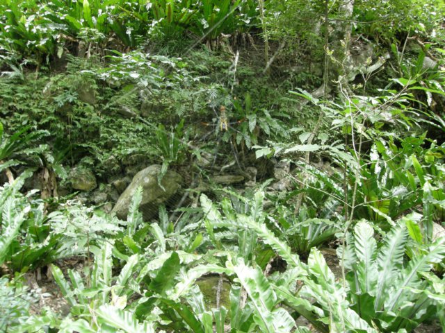tarokonationalpark1101200989.jpg