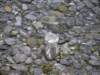 tarokonationalpark1101200991_small.jpg