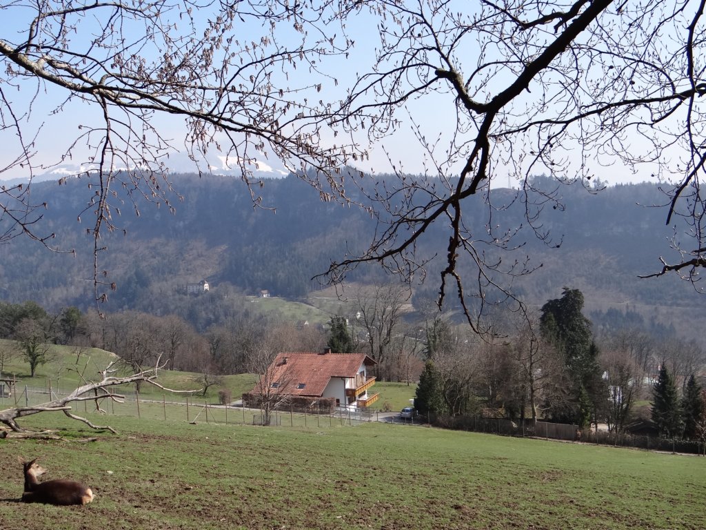 austriaswitzerland2013171.jpg
