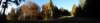 autumninlavarone201210_small.jpg