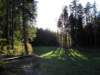 autumninlavarone201212_small.jpg