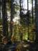 autumninlavarone201213_small.jpg
