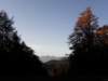 autumninlavarone201214_small.jpg