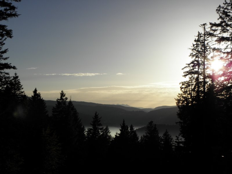 autumninlavarone201215.jpg