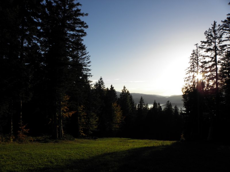 autumninlavarone201216.jpg