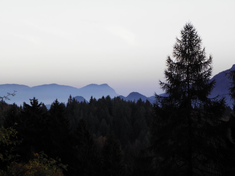 autumninlavarone201225.jpg