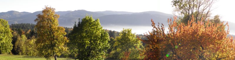 autumninlavarone20123.jpg