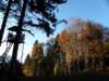 autumninlavarone20129_small.jpg