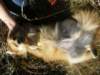 bbqonthebelem08116_small.jpg