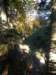 bbqonthebelem0822_small.jpg