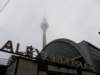 berlin05081209229_small.jpg