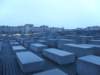 berlin05081209265_small.jpg