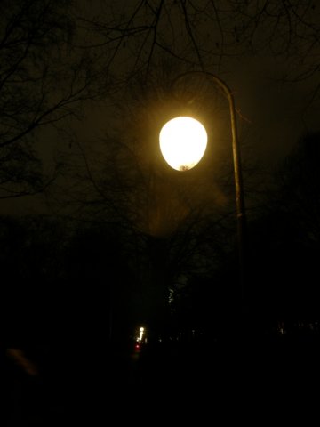 berlin05081209292.jpg