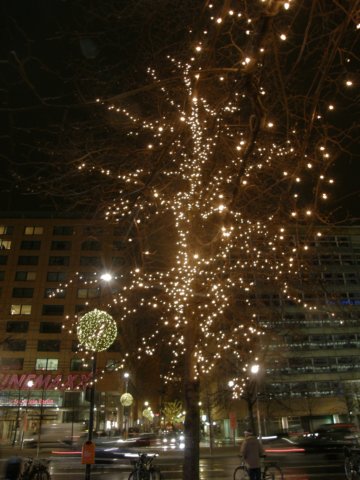 berlin0508120975.jpg