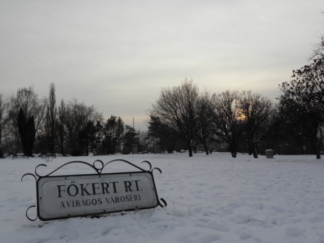 budapestdec201035.jpg