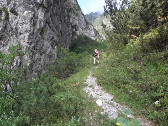 cimacarega201110.jpg