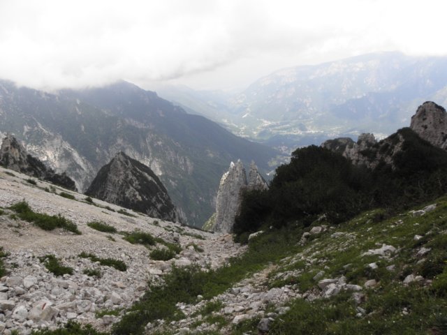 cimacarega2011111.jpg