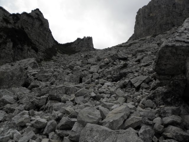 cimacarega2011113.jpg