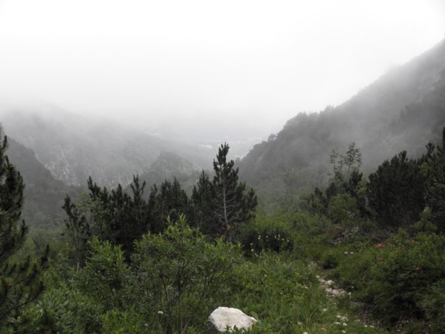 cimacarega201118.jpg