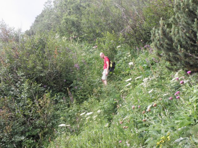 cimacarega201121.jpg