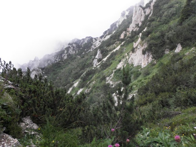 cimacarega201122.jpg
