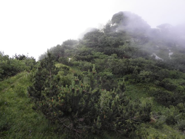 cimacarega201128.jpg