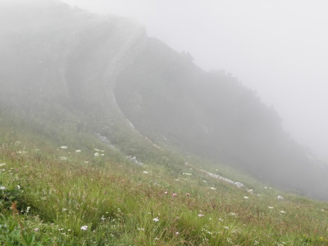 cimacarega201134.jpg