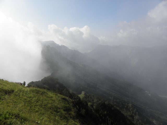 cimacarega201136.jpg