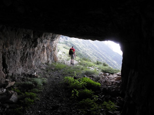cimacarega201145.jpg