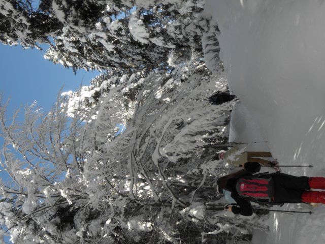ciasposat201032.jpg