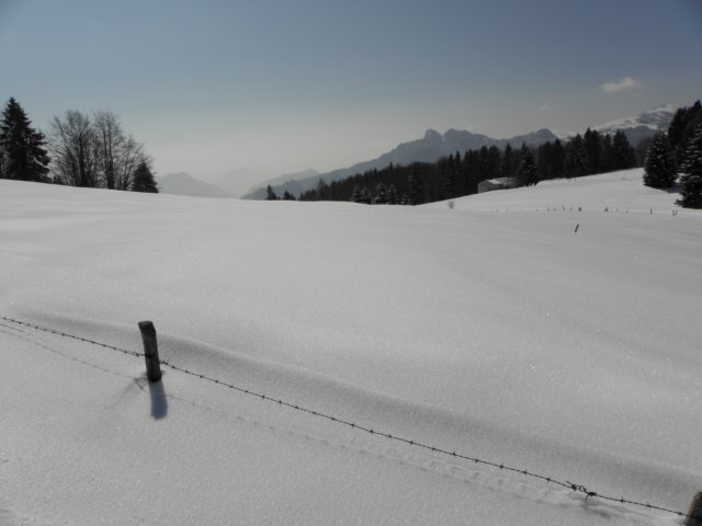 ciaspolatamillegrobbe201021.jpg