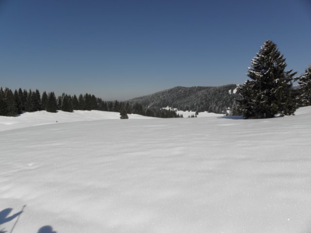 ciaspolatamillegrobbe201023.jpg