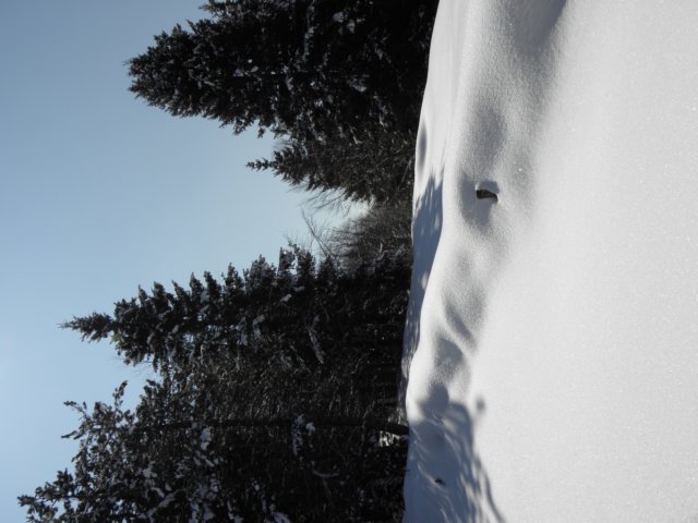 ciaspolatamillegrobbe201030.jpg