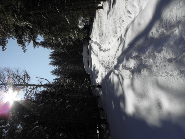 ciaspolatamillegrobbe201031.jpg